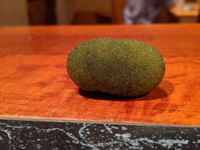 Found This Thing On The Beach. Its Solid And Smells Like Seaweed, What Is It?