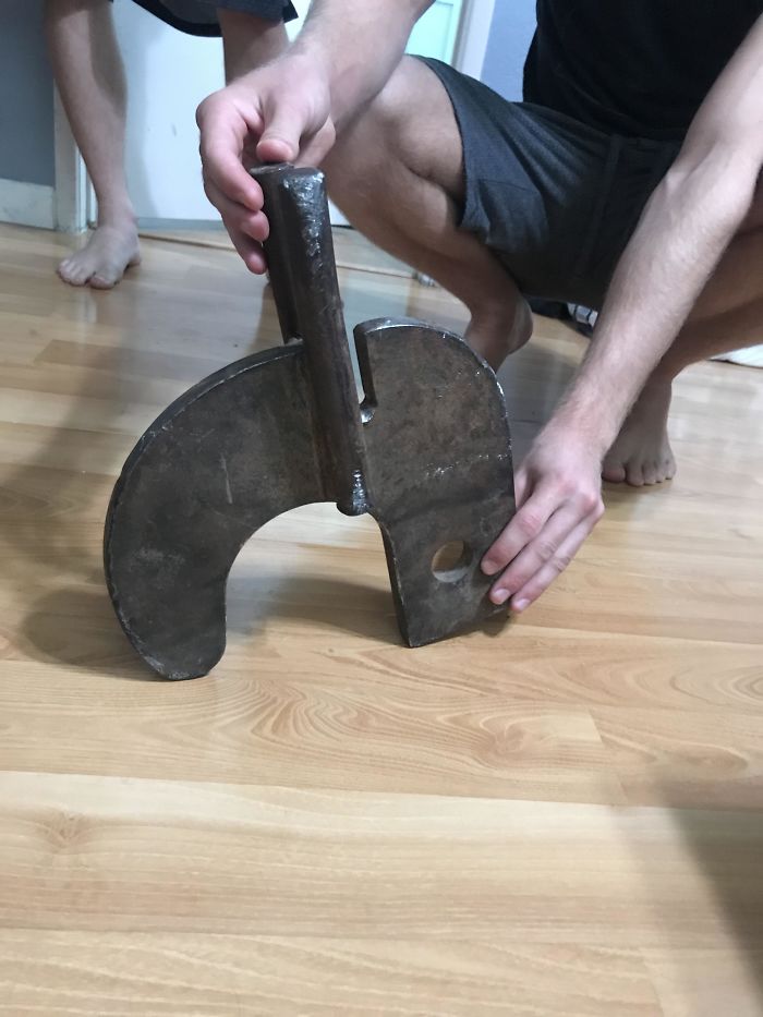 Flew Through My Windshield On The Freeway