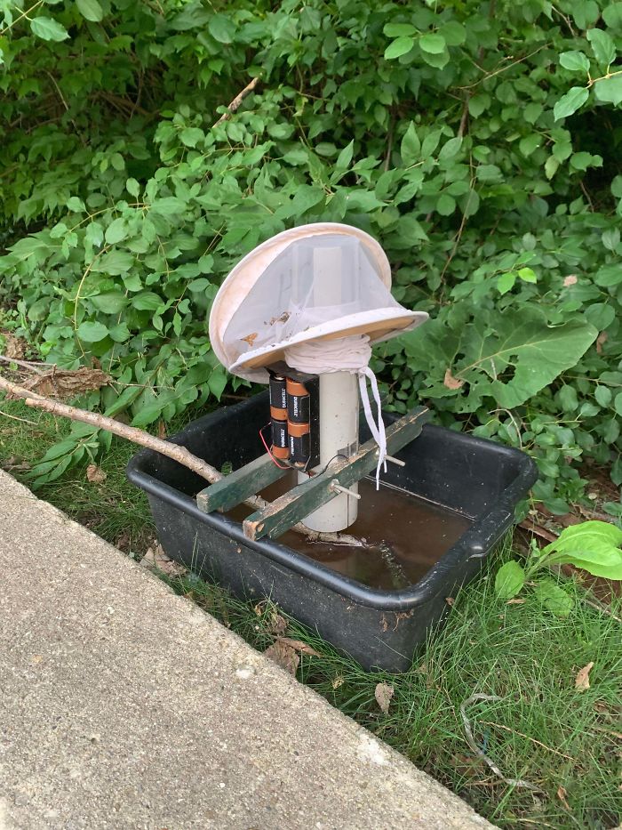 I Found It While Biking A Trail, Smells God Awful And Is Making A Strange Buzzing Noise. What Is This Thing?