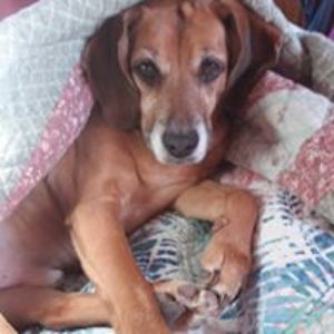 jenny_steffens avatar