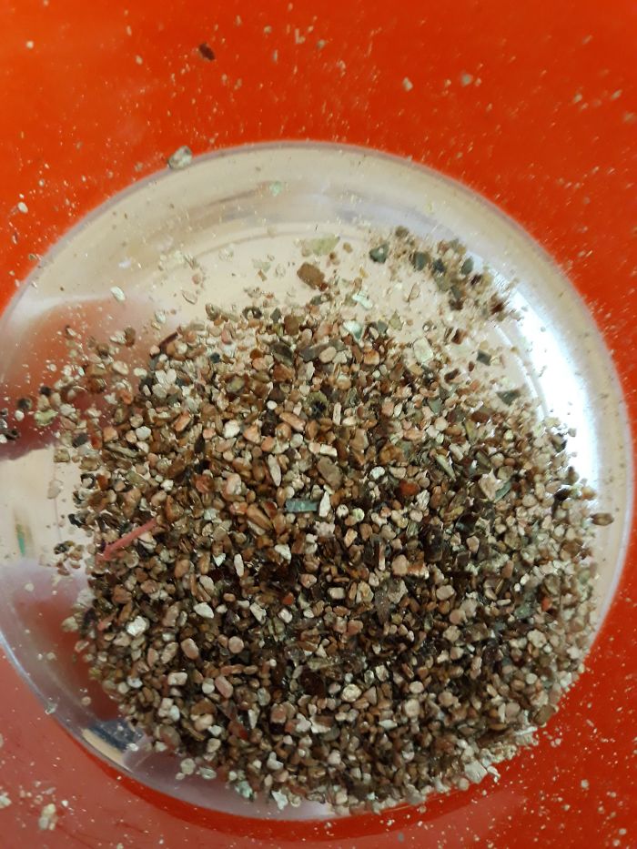 Cut Open My Ceiling To Repair Some Drywall And This Started Falling Out, Somewhat Squishy And There Was A Lot Of It. What Is This Thing?