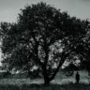 211674pumacummings avatar