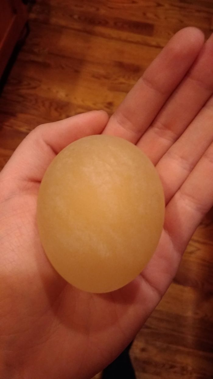 This Is What Happens To An Uncooked Egg When You Soak It In Vinegar For 24 Hours, Corn Syrup For 24 Hours, And Then Distilled Water For 24 Hours. It Was My Sister's Science Experiment To Show Selective Permeability