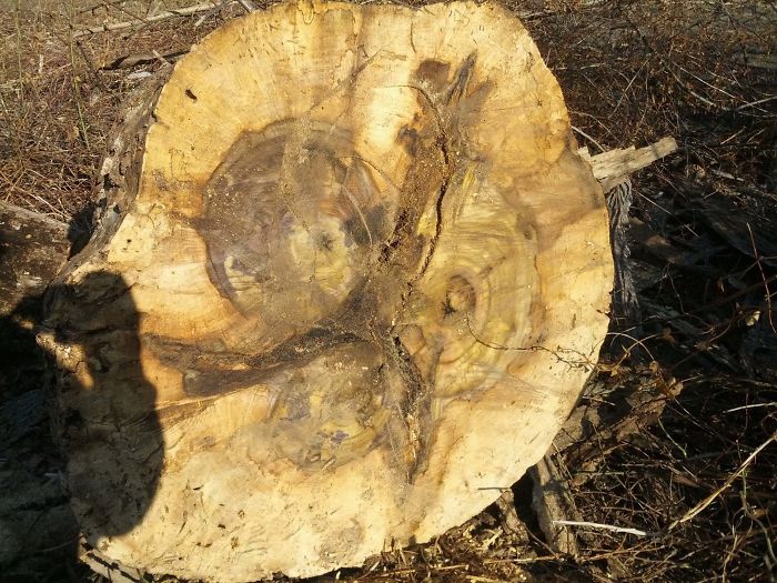 What Happens When Three Trees Merge Into One