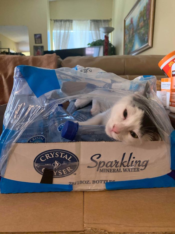 Adopted Tuna A Little Over 2 Weeks Ago, She’s 3 Months Old Today