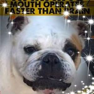 ellennieuwland avatar