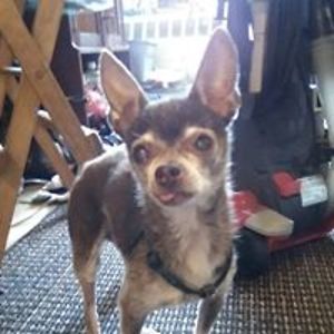 tamiroberts929 avatar