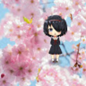 justaanimefan avatar