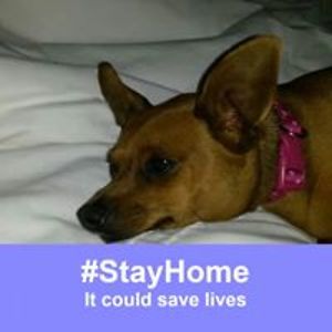 tommy_monaghan avatar