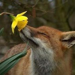 melaniepearson27 avatar