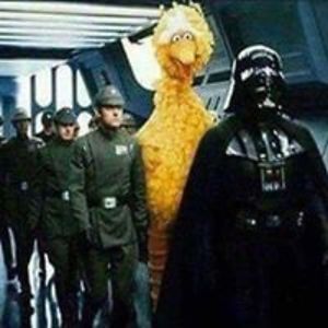 larabsorensen avatar