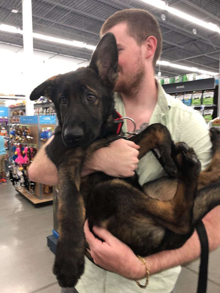 My Scared Boy Wolfgang At His First Puppy Class