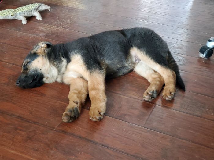 All Done Eating, Time To Grow Some More