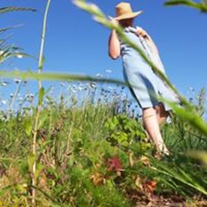 veerle_vanmansfeld avatar