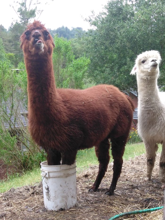 I Feel Like This Qualifies