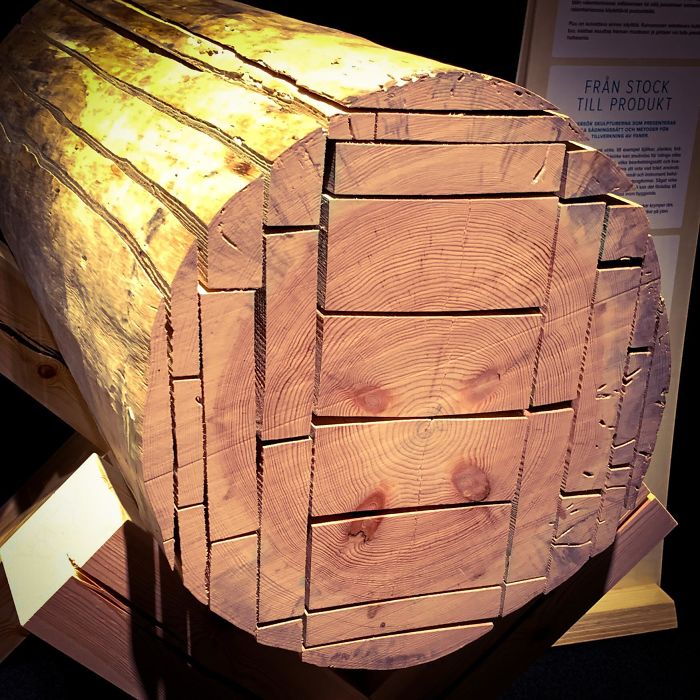 How A Tree Is Cut Into Planks