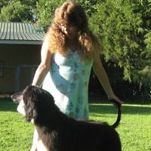 tradewindszoo avatar