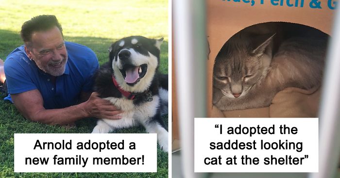 50 Most Wholesome Rescue Pet Photos Of The Month (July Edition)