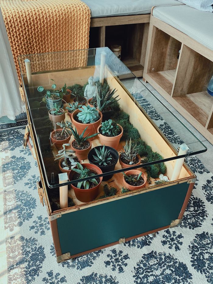 Succulent-Tables