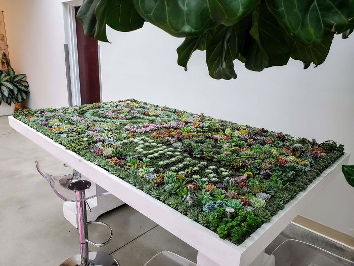 Succulent-Tables