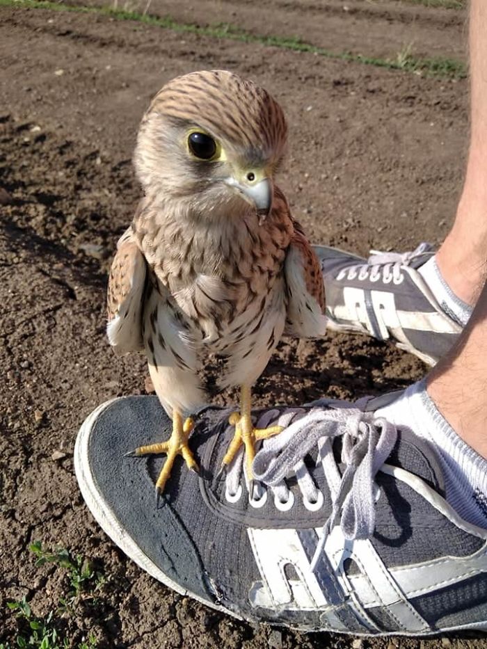 Y Brother Has A New Friend