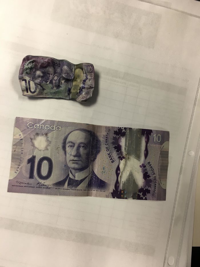 I Accidentally Washed And Dried My $10 Bill And It Shrunk To A Quarter Of Its Normal Size