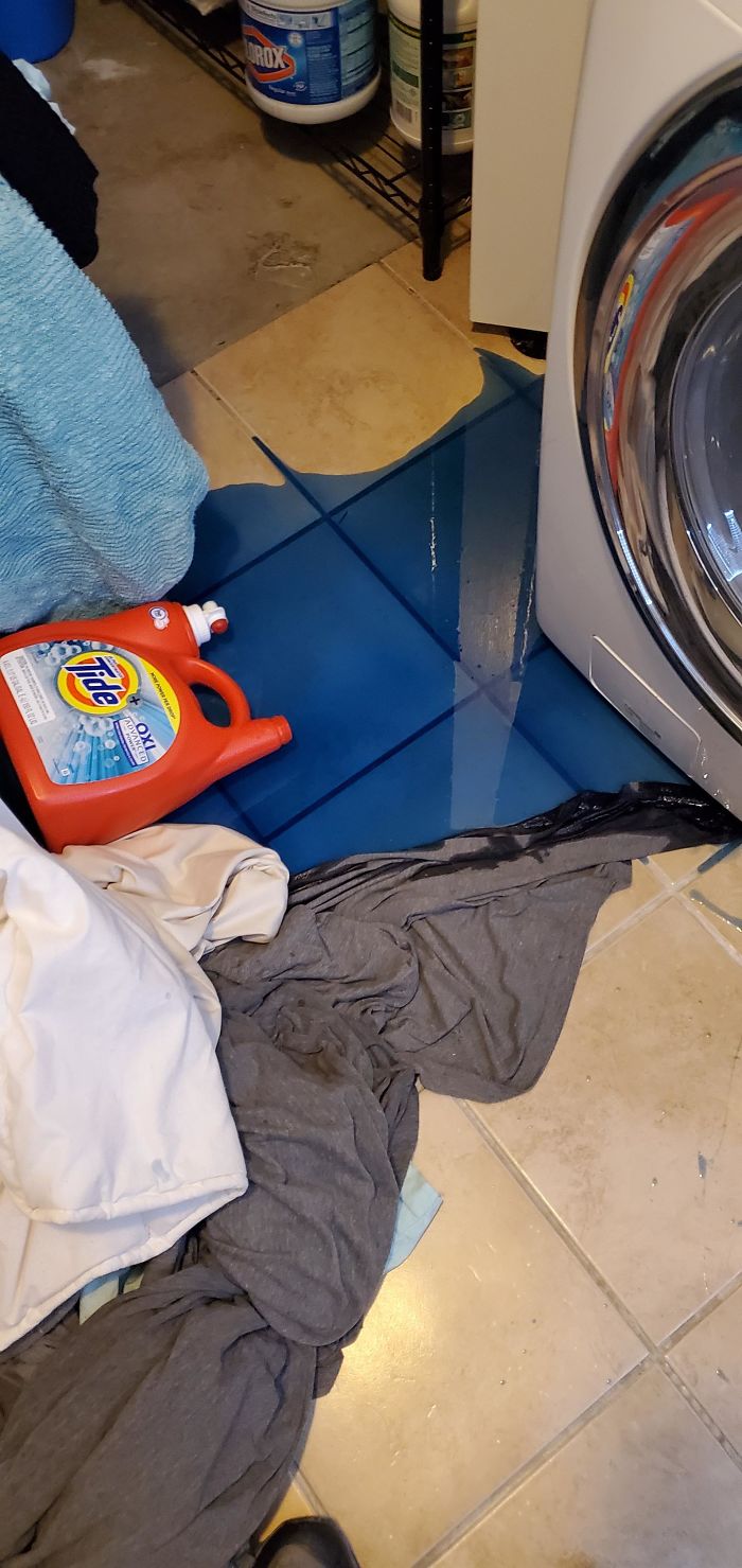 Dog Threw Up On The Bed, Fiancee Asked Me To Switch The Laundry When I Got Home. This Is What I Found