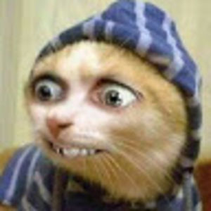 fuinhaamiguinha avatar