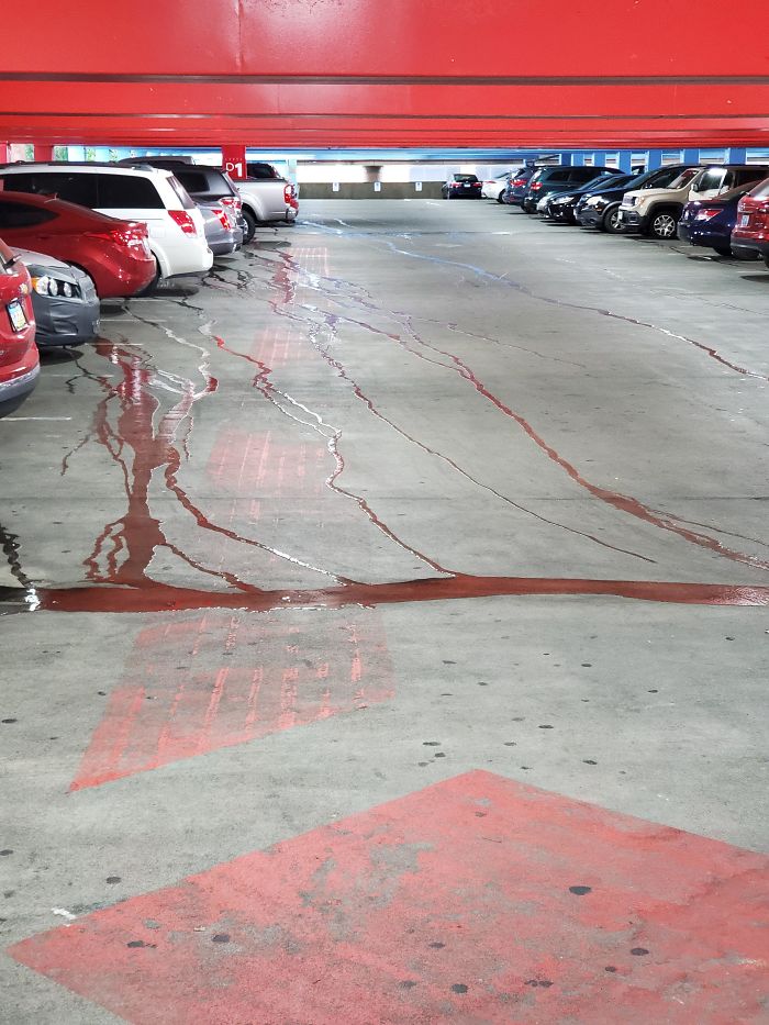 The Way The Water Reflects The Red Ceiling In The Hospital Parking Garage And Look Like Blood