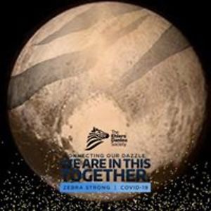 lindsey_a_hinz avatar