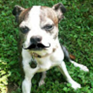 allenw_graham avatar