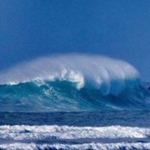 babygirldeedee1 avatar