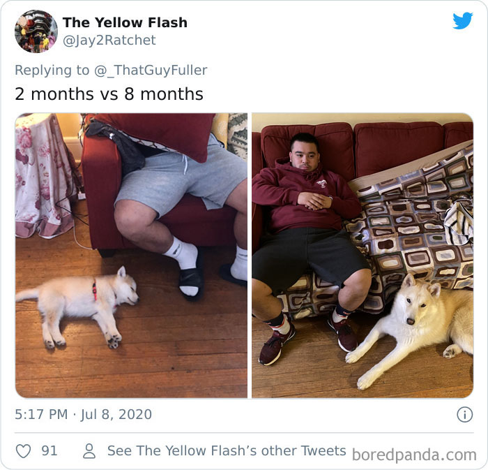 People-Share-Dog-Photos-Then-And-Now