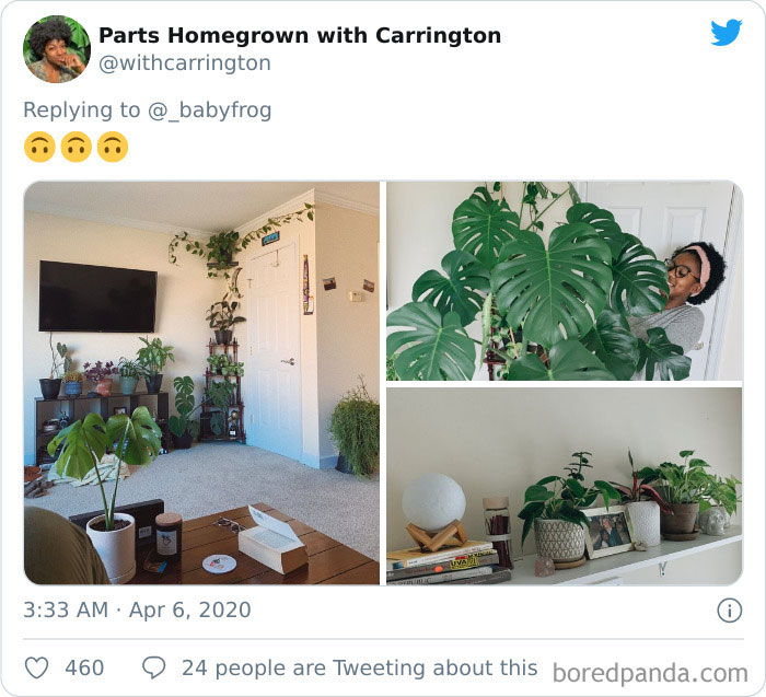 Plants-Obsession-Illustration-Cecile-Dormeau