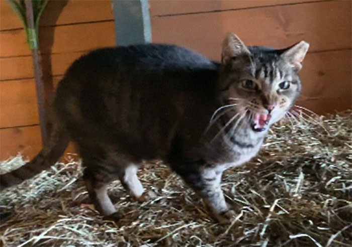 She Has So Much To Say!