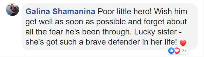 6-Year-Old Superhero Saves Sister From Dog Attack, Gets 90 Stitches And Praise From The Avengers 6-Year-Old Superhero Saves Sister From Dog Attack, Gets 90 Stitches And Praise From The Avengers