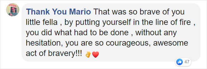 6-Year-Old Superhero Saves Sister From Dog Attack, Gets 90 Stitches And Praise From The Avengers 6-Year-Old Superhero Saves Sister From Dog Attack, Gets 90 Stitches And Praise From The Avengers