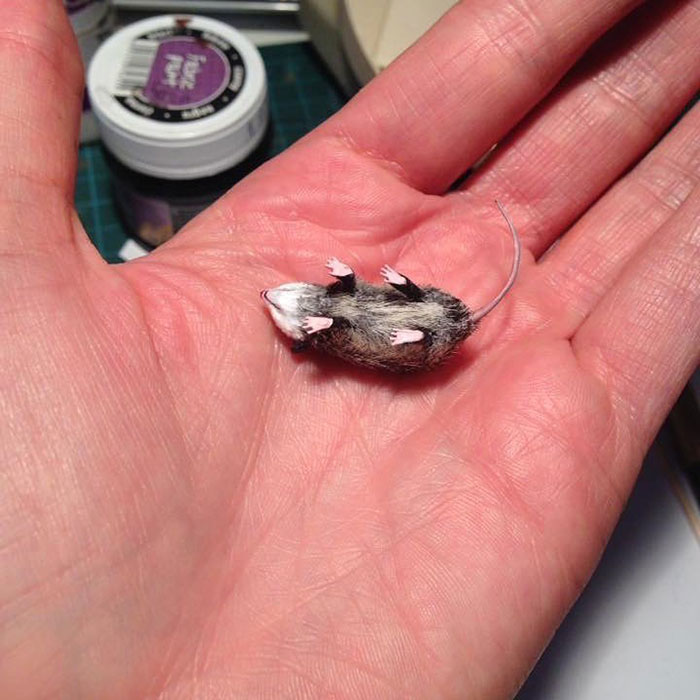 Tiny-Dollhouse-Animals-Miniatures-Fanni-Sandor