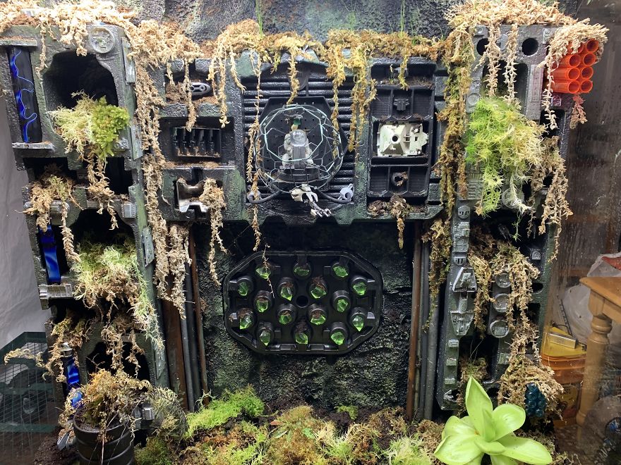 I Visited Texas Triffid Ranch: Dallas’s Carnivorous Plant Gallery (14 Pics)