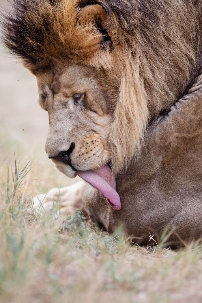 I Am A Wildlife Hunter, But My 'Gun' Is My Camera (19 Pics)