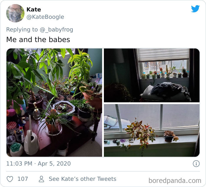 Plants-Obsession-Illustration-Cecile-Dormeau