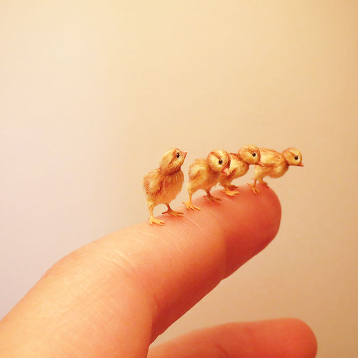Tiny-Dollhouse-Animals-Miniatures-Fanni-Sandor