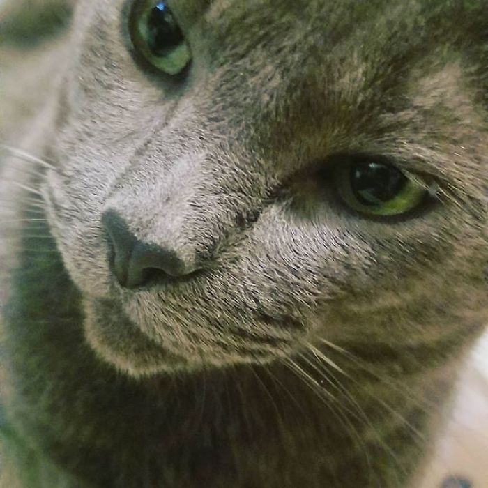 I'm A 16-Year-Old Photographer, And I View The World Through Photos