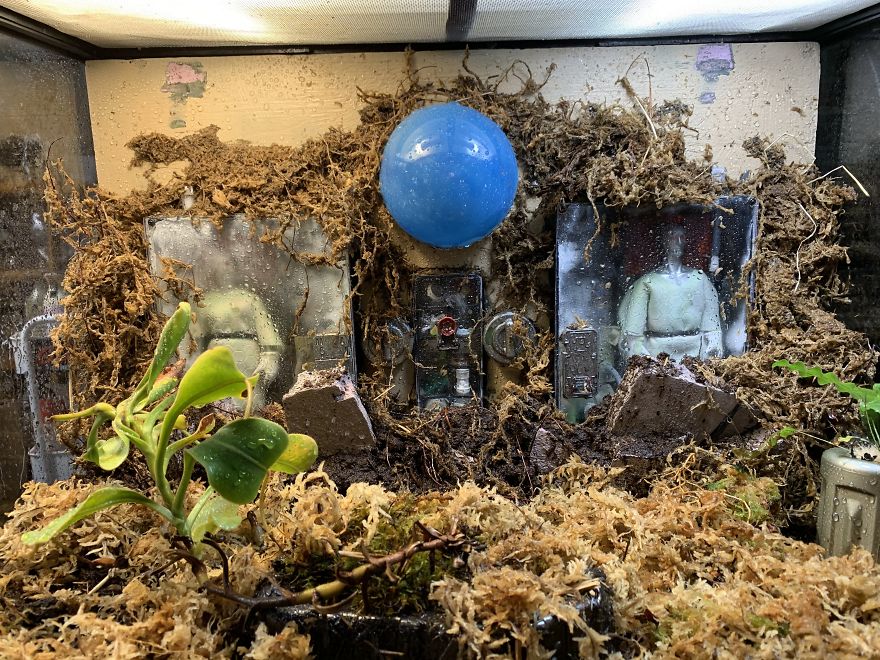 I Visited Texas Triffid Ranch: Dallas’s Carnivorous Plant Gallery (14 Pics)