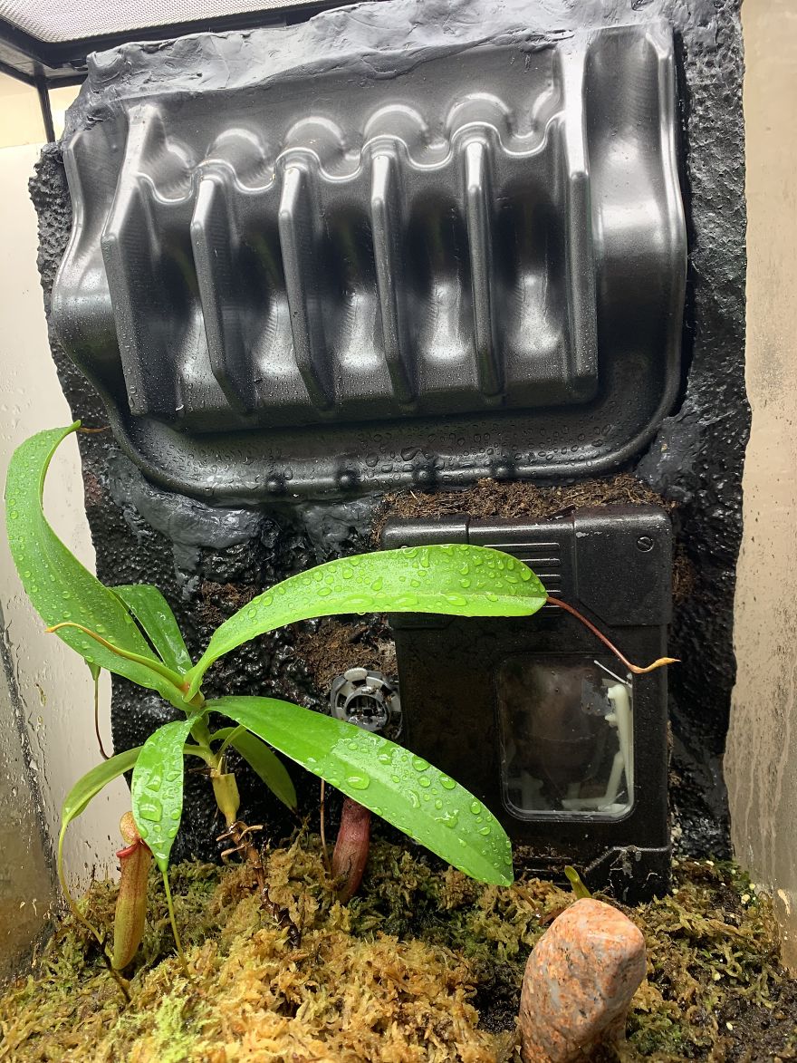 I Visited Texas Triffid Ranch: Dallas’s Carnivorous Plant Gallery (14 Pics)