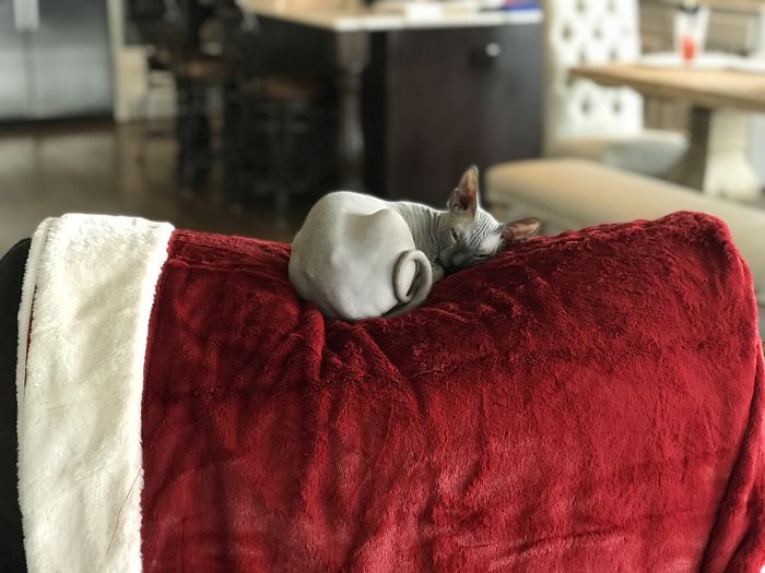 Nap Time Is The Best Time