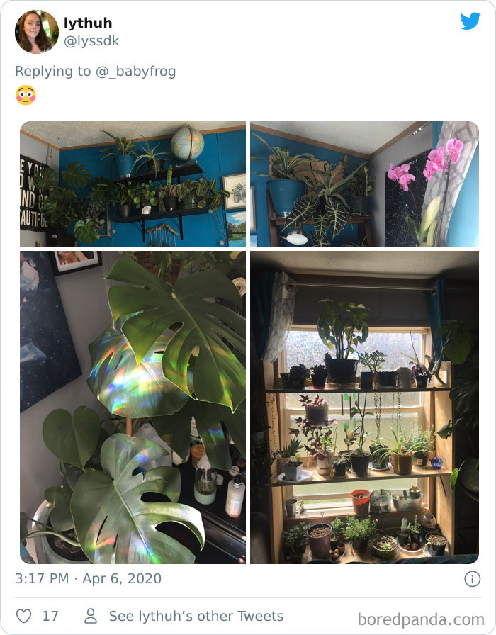 Plants-Obsession-Illustration-Cecile-Dormeau