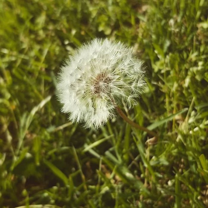 I'm A 16-Year-Old Photographer, And I View The World Through Photos