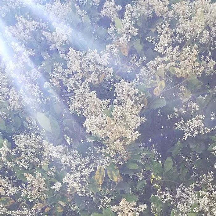 I'm A 16-Year-Old Photographer, And I View The World Through Photos