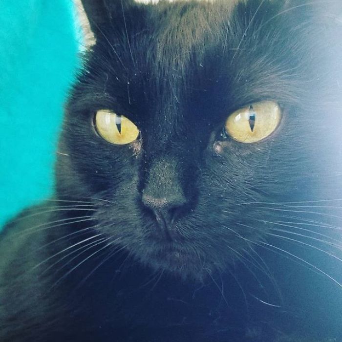 I'm A 16-Year-Old Photographer, And I View The World Through Photos